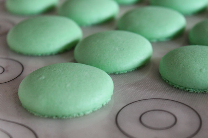 A close up of macaroon cookies