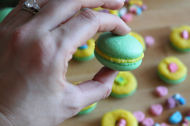 A hand holding a macaroon to show the size of them